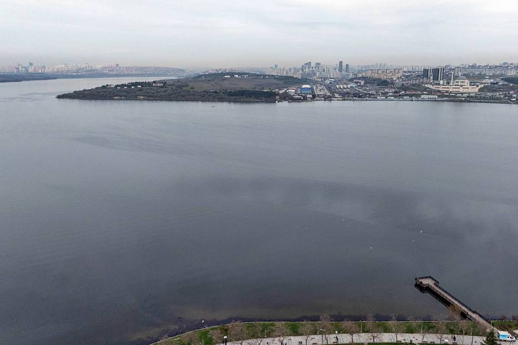 İstanbul'da buradan tutulan balıkları sakın yemeyin! Suda oksijen kalmadı, ağır metal ve pestisit var 4